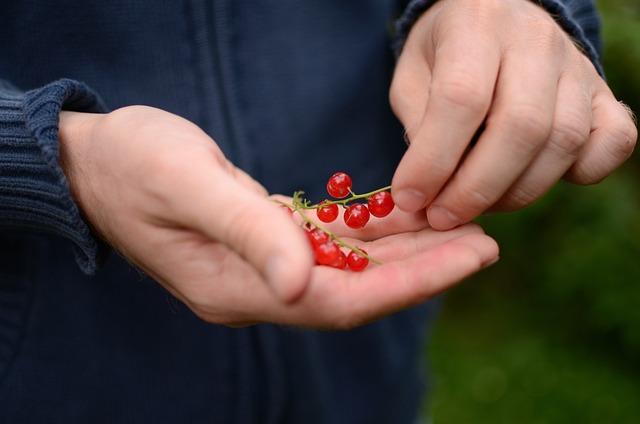 Důležité znaky a pravidla správného psaní v češtině