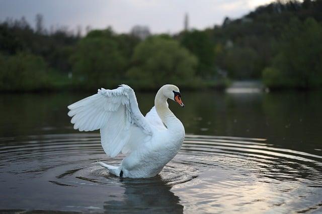 Co je důležité vzít na focení do školy?