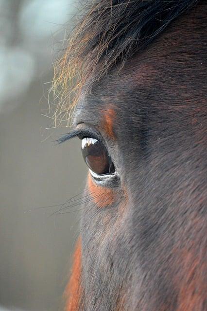 Ostravská vysoká škola: Top důvody, proč studovat právě zde