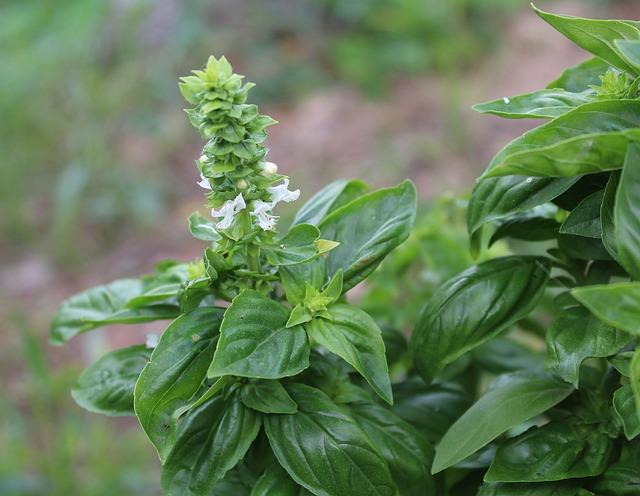 Aromatické Uhlovodíky (Areny): Maturitní Otázky Chemie, Které Vás Překvapí!