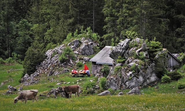 Podrobné zhodnocení výsledků Testu Pravopis Zájmena Jenz