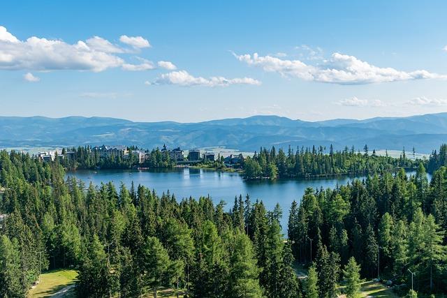 Přehled populárních oborů na brněnských vysokých školách