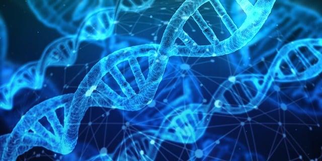 Jaké jsou typické otázky z chemie týkající se reakční kinetiky a chemické rovnováhy ve státních maturity?