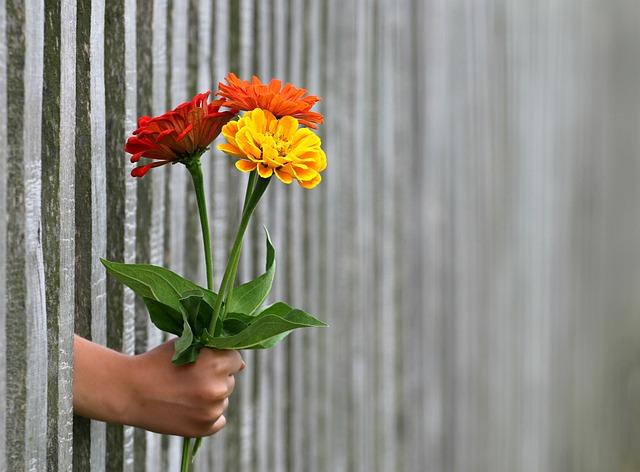 Nabídněte pomoc a podporu ostatním